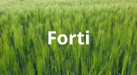 FertiExport Forti