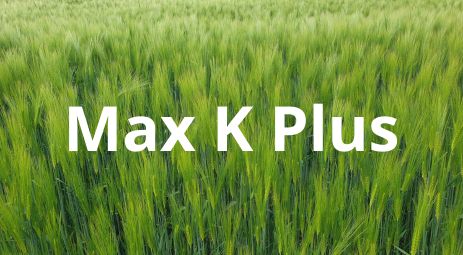 FertiExport Max K Plus