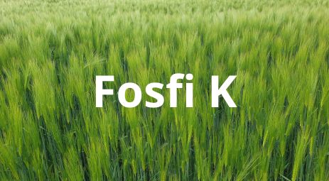 FertiExport Fosfi K